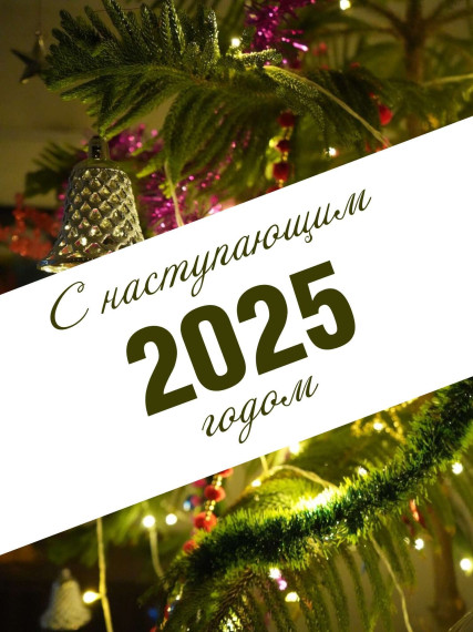 С наступающим Новым 2025 годом!.